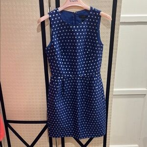 J. Crew Cotton Silk Polka Dot Dress